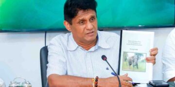 Sajith Premadasa Urges Immediate Action on Human-Elephant Conflict with National Plan and Task Force Proposal