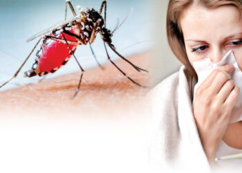 WHO Warns of Chikungunya Pandemic Spreading from Indian Ocean to Europe and Asia