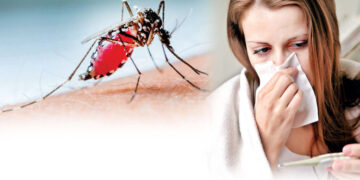 WHO Warns of Chikungunya Pandemic Spreading from Indian Ocean to Europe and Asia
