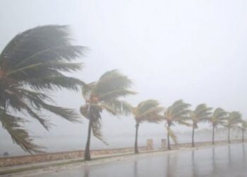 Heavy Showers and Strong Winds Expected in Multiple Provinces and Coastal Areas Today – Meteorological Department Warns