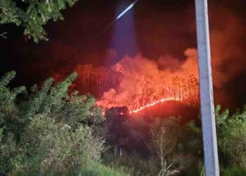 Fire Destroys Forest Near Protected Mountains in Bandarawela’s Panangala, Mathatil