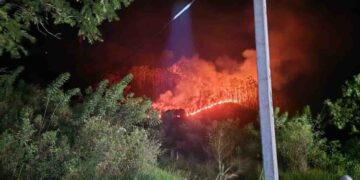 Fire Destroys Forest Near Protected Mountains in Bandarawela’s Panangala, Mathatil