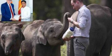 Opposition Leader Sajith Premadasa Seeks Prince of Wales’ Support for Human-Elephant Conflict in Sri Lanka