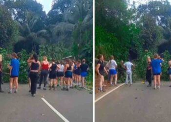 Foreign Tourists Clear Fallen Tree on Galle–Udugama Road in Thellambura