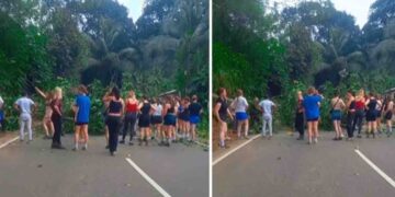 Foreign Tourists Clear Fallen Tree on Galle–Udugama Road in Thellambura
