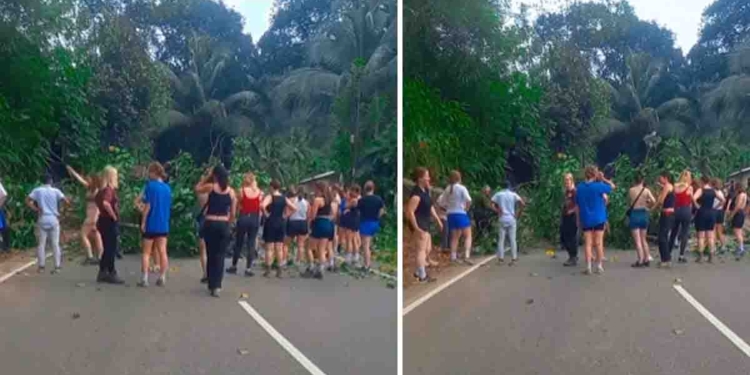 Foreign Tourists Clear Fallen Tree on Galle–Udugama Road in Thellambura