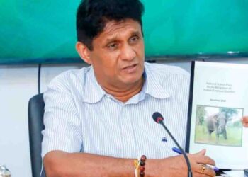 Opposition Leader Urges Government to Repeal SVAT Tax System