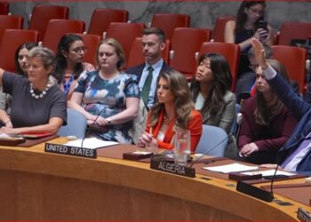 Algeria warns UN faces ‘third failure’ to prevent genocide after US veto on Gaza resolution