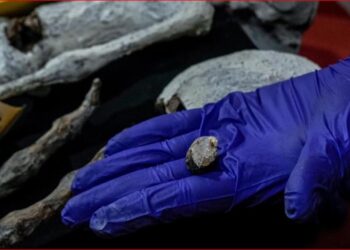 World’s oldest mummies unearthed in Southeast Asia, study reveals