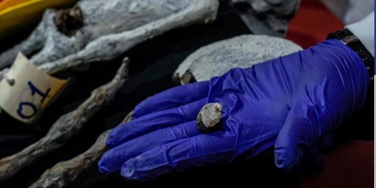 World’s oldest mummies unearthed in Southeast Asia, study reveals