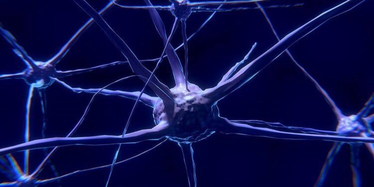 Scientists Explore Turning Living Cells into Biocomputers