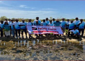 NDB Volunteers Support Mangrove Conservation Efforts at Anawilundawa