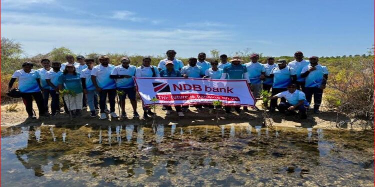NDB Volunteers Support Mangrove Conservation Efforts at Anawilundawa