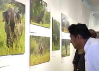 Sajith Premadasa Visits “Legends of Wild” Photography Exhibition