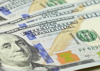 Dollar Slides to 22-Year Low Amid US Government Shutdown