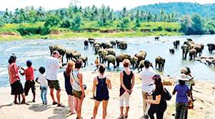 Sri Lanka Tourism Launches Roadshows in South India to Boost Visitor Arrivals