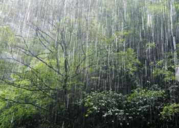 Icy Shower Graces Nuwara Eliya City Limits