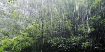 Icy Shower Graces Nuwara Eliya City Limits