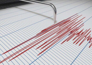 Magnitude 6.0 Earthquake Strikes Indian Ocean; No Tsunami Warning Issued
