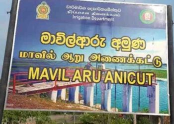 Air Force Rescues 121 People Trapped in Mavilaru