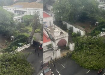 Large Tree Falls Near Presidential Palace in Colombo Fort Amid Heavy Rain
