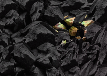 India Can Lead in Rare Earths with Strong Processing Capabilities: World Energy Council Chairman
