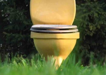Sri Lanka Census Shows 13,326 Families Without Basic Toilet Facilities