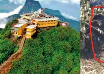 The Secret Staircase That Emerged from Adam’s Peak After the Disaster