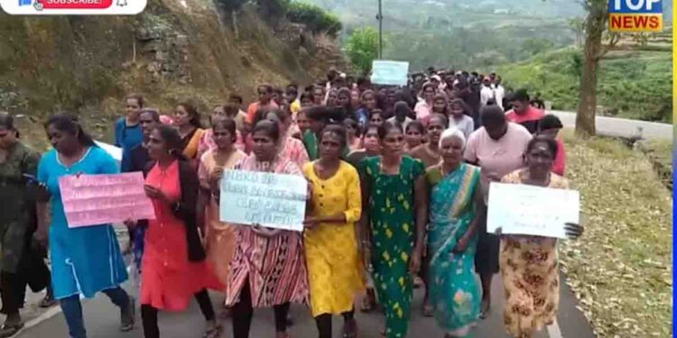 Plantation Residents Protest for Safe Land After Landslides