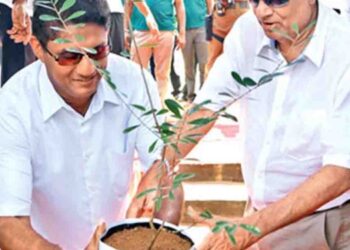 SJB MP Proposes Advisory Role for Ranil Wickremesinghe in SJB-UNP Merger