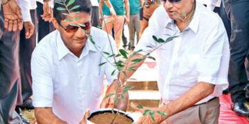 SJB MP Proposes Advisory Role for Ranil Wickremesinghe in SJB-UNP Merger