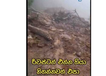Cyclone Ditva Inflicts Significant Damage on Sri Lanka’s Scenic Riverstone Area