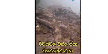 Cyclone Ditva Inflicts Significant Damage on Sri Lanka’s Scenic Riverstone Area