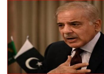 Pakistan PM Expresses Solidarity With Sri Lanka, Announces Immediate Aid After Cyclone Ditwah