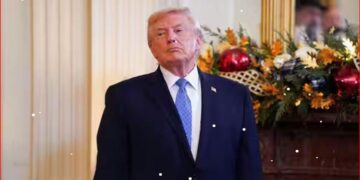 US strikes IS in Nigeria: Trump hails ‘deadly blow’