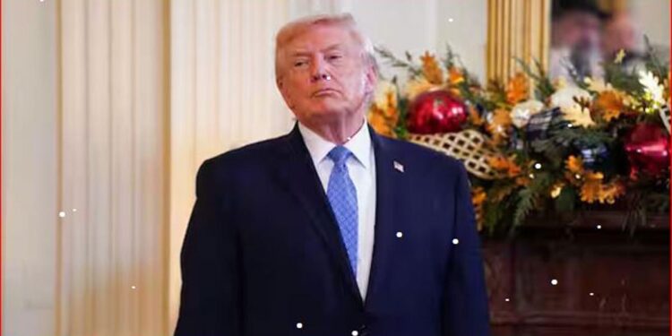 US strikes IS in Nigeria: Trump hails ‘deadly blow’