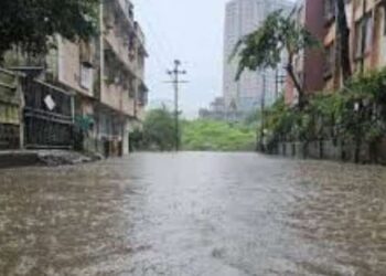 National Archives Urges Freezer Support to Save Flood-Damaged Records