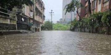 National Archives Urges Freezer Support to Save Flood-Damaged Records