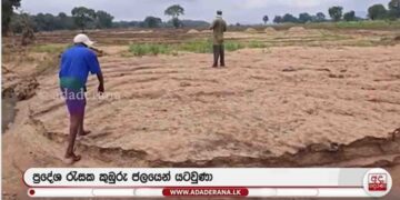 Floods Destroy Thousands of Acres of Paddy Fields, Farmers Seek Immediate Assistance