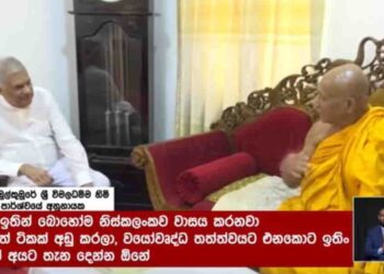 Former President Ranil Wickremesinghe Meets Chief Prelates in Kandy, Discusses Political Situation