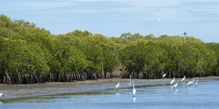 Government Rescinds Controversial Wedithalathivu Nature Reserve Gazette, Supreme Court Informed