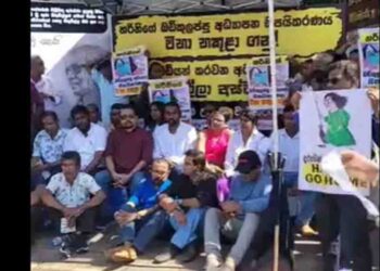 Wimal Weerawansa Launches Satyagraha Demanding Withdrawal of Education Reforms