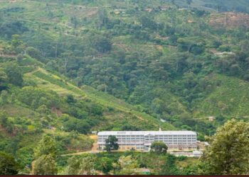Cannavarella Estate: Nurturing Land, People and Heritage Since 1880