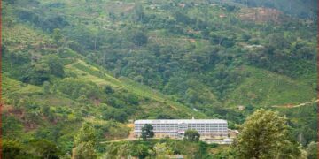 Cannavarella Estate: Nurturing Land, People and Heritage Since 1880