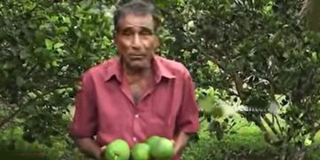 Orange Growers in Bibila Struggle as Imported Oranges Drive Down Local Prices