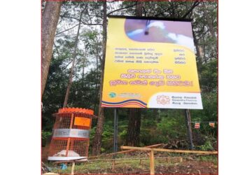 Siyapatha Finance Continues Mission to Conserve Sri Pada Reserve