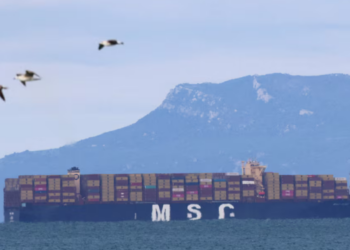 MSC Imposes “War Surcharge” on Cargoes to Africa and Indian Ocean Amid Strait Disruptions