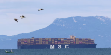MSC Imposes “War Surcharge” on Cargoes to Africa and Indian Ocean Amid Strait Disruptions