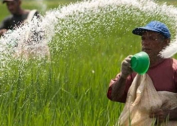 Fertiliser Shortage Raises Concerns Ahead of Yala Season in Sri Lanka