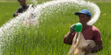 Fertiliser Shortage Raises Concerns Ahead of Yala Season in Sri Lanka